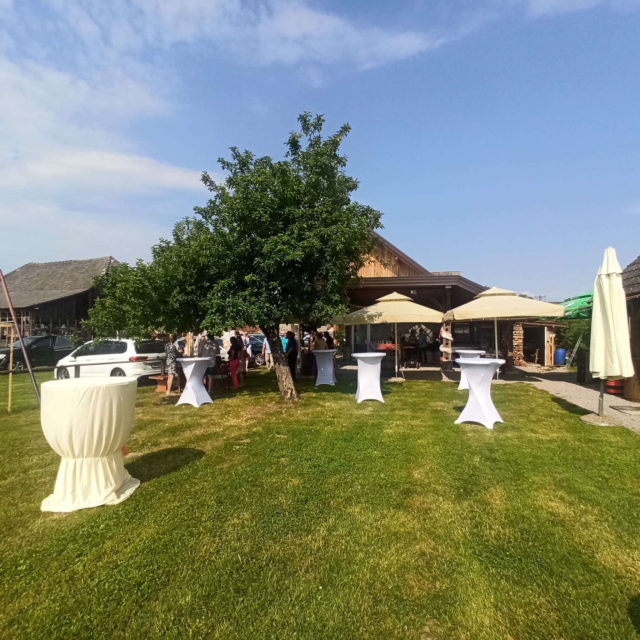 Kozolec za praznovanja, zabave, žur - dolenjska v naravi